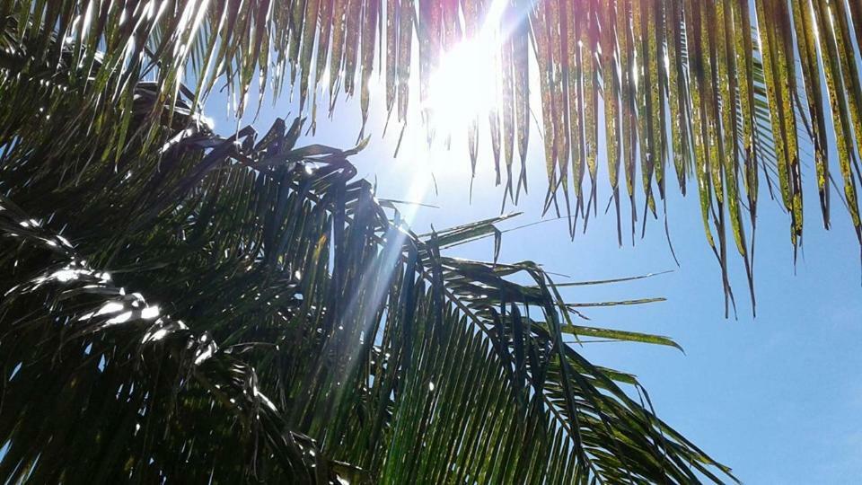 Vacation Beach Fales Manase Exterior foto